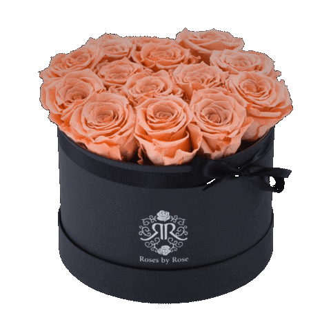 Roses by Rose Sticker