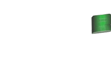 NZSki Sticker