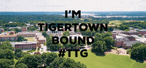 TigertownGraphics clemson ttg tigertown tigertown bound GIF
