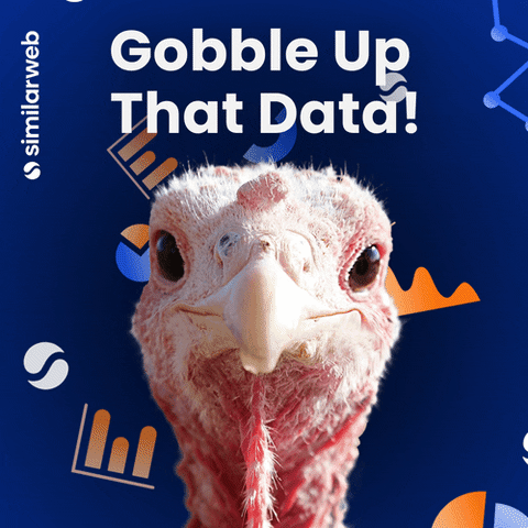 Marketing Thanksgiving GIF by Similarweb