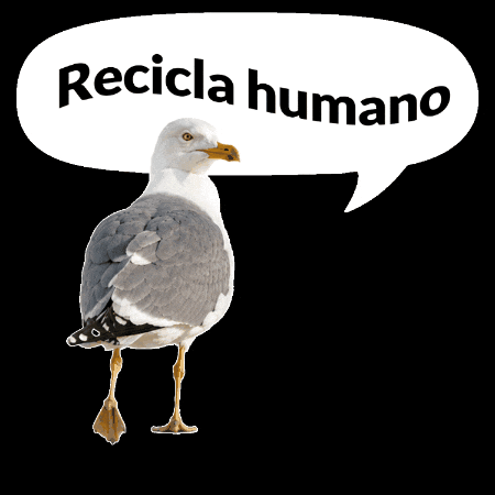 Proyectolibera GIF by ecoembes