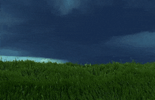 Mood Nothing GIF