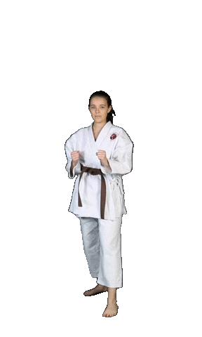Isshoni Karate Sticker