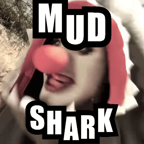 Shark GIF