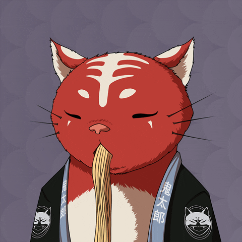 Cat GIF by Kitaro World