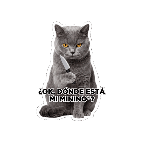 Seguroesporminino Sticker by Minino Plus®