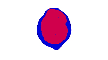 Animated Sticker