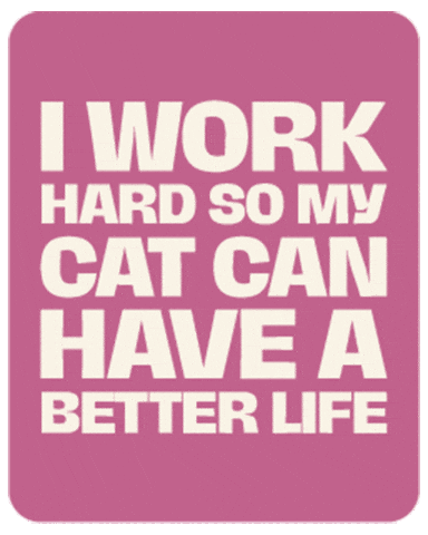Wundercat GIF by Wunderdog