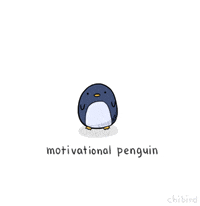  love penguin you can do it believe in yourself nandos GIF