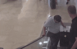 Ted Cruz Travel GIF by GIPHY News