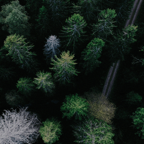 Baker Tilly Perú GIF