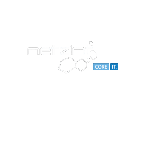 Netzint GmbH Sticker