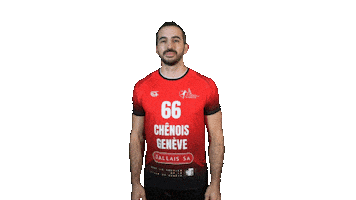 Chenois Sticker by CS Chênois Genève Handball