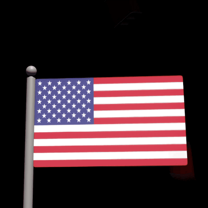 American Flag Celebration GIF