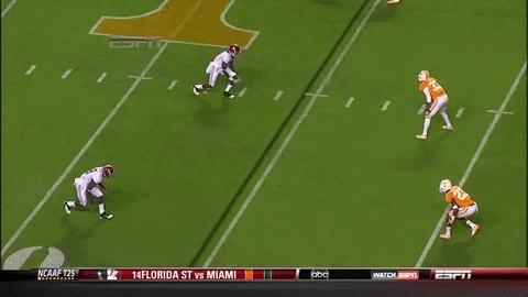 has tennessee football GIF