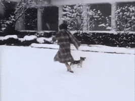 Snow Winter GIF by US National Archives