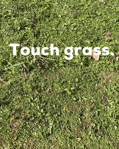 Touch Grass GIF