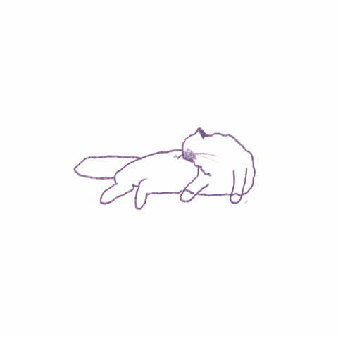 Cat GIF