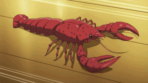 Lobsters GIFs - Get the best GIF on GIPHY
