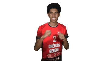 Chenois Sticker by CS Chênois Genève Handball