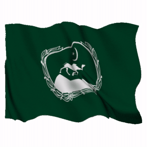 Flag Iran GIF