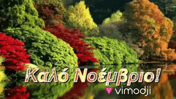 Noemvrios GIF by Vimodji
