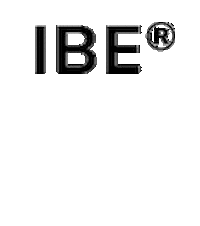 Invisible Bead Extensions® Sticker