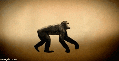 Evolution Humans GIF - Find & Share on GIPHY