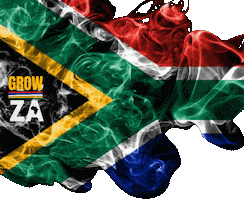South Africa Flag GIF by GrowZA