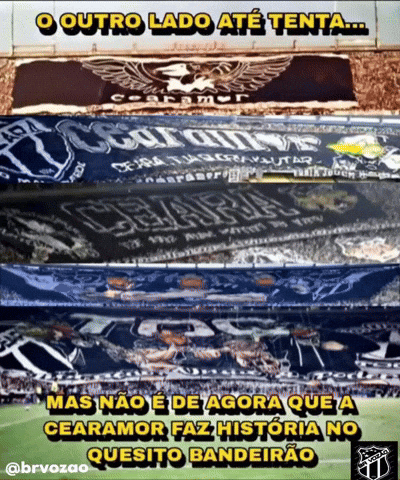 Brvozao GIF