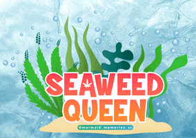 Santa Cruz Seaweed GIF by Mermaid Memories Santa Cruz