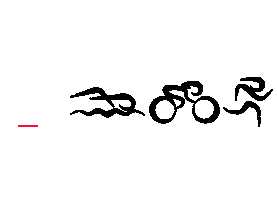 DUARTE TRIATHLON TEAM Sticker