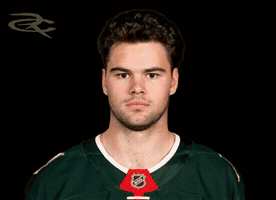 Minnesota Wild GIF by Respective