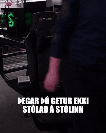 Stoll GIF by ELKO Iceland