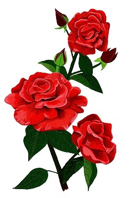 Source: Caroline Spence Source: Caroline Spence