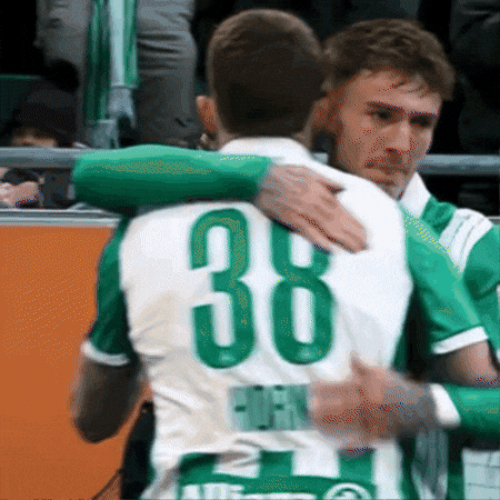 Rapid Wien Horn GIF
