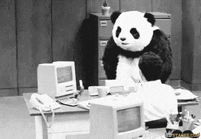 Computer Panda GIF