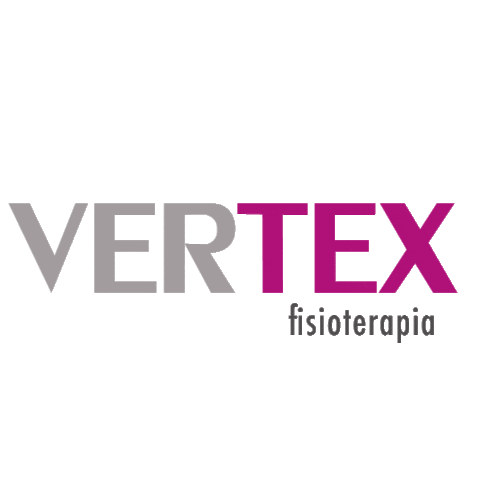 Vertex Fisioterapia Sticker