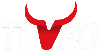 Touro Brasil Sticker