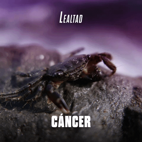 Cancer Astrology GIF by Sealed With A GIF
