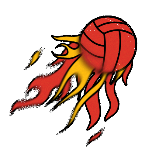 Meteor Sticker by Netball Singapore