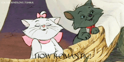 Bilderesultat for aristokattene meme marie