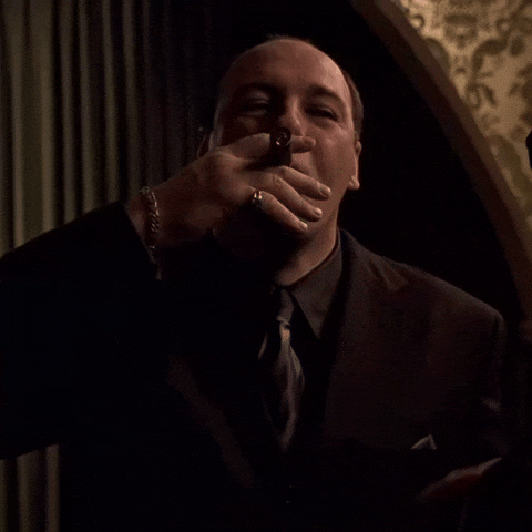 Tony Soprano James GIF