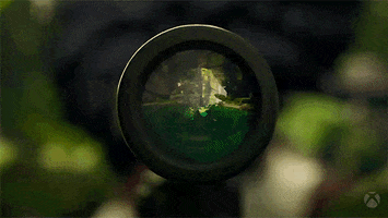 Sunglasses Jungle GIF by Xbox