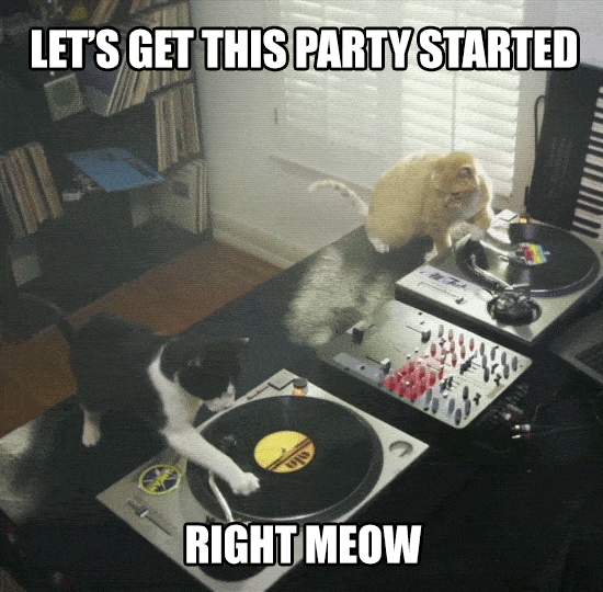 pics Happy Birthday Dj Gif dj birthday gifs get the best gif on