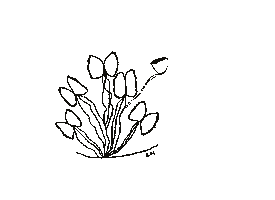 Animated Sticker