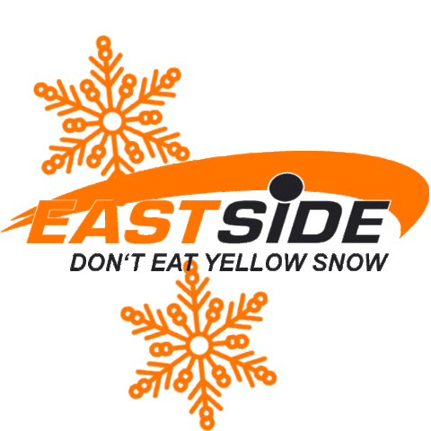 Fun Sport Vision Sticker