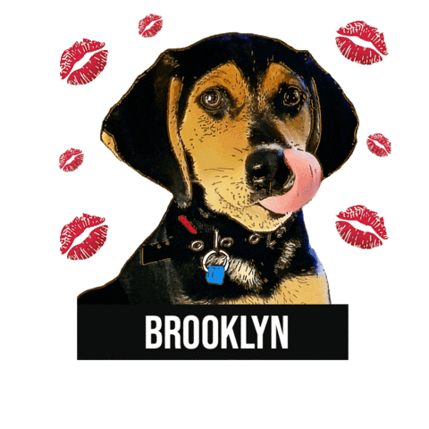 Dog Kiss Sticker by IQSHOES