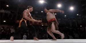 Martial Arts Nut Punch GIF - Find & Share on GIPHY
