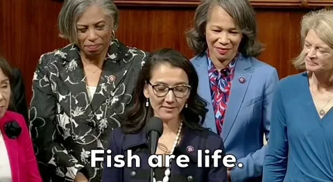 House Of Representatives Fish GIF
